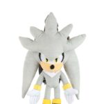 Silver The Hedgehog - Character from Sonic the Hedgehog Series