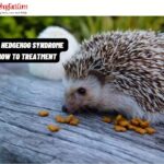 Wobbly Hedgehog Syndrome And How To Treatment