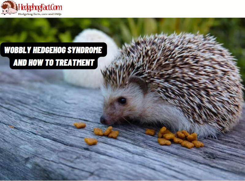 Wobbly Hedgehog Syndrome And How To Treatment