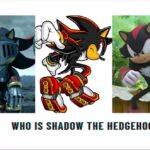 Who Is Shadow The Hedgehog?