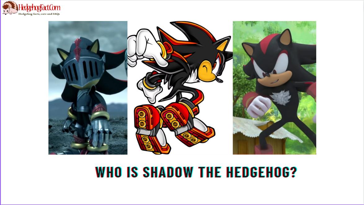 Who Is Shadow The Hedgehog?
