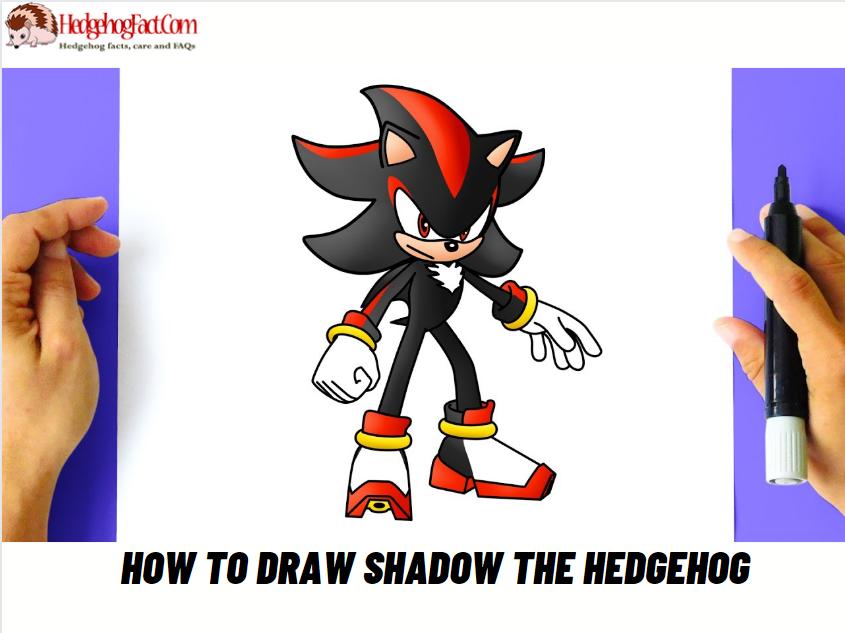 How To Draw Shadow The Hedgehog
