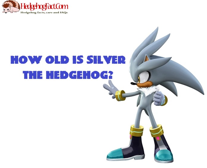 How Old Is Silver The Hedgehog?