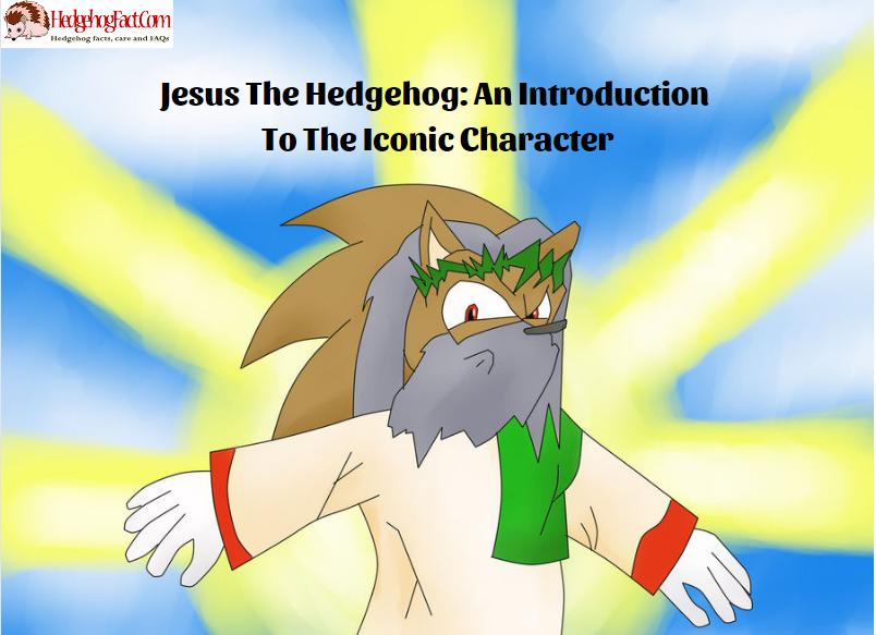 Jesus The Hedgehog: An Introduction To The Iconic Character