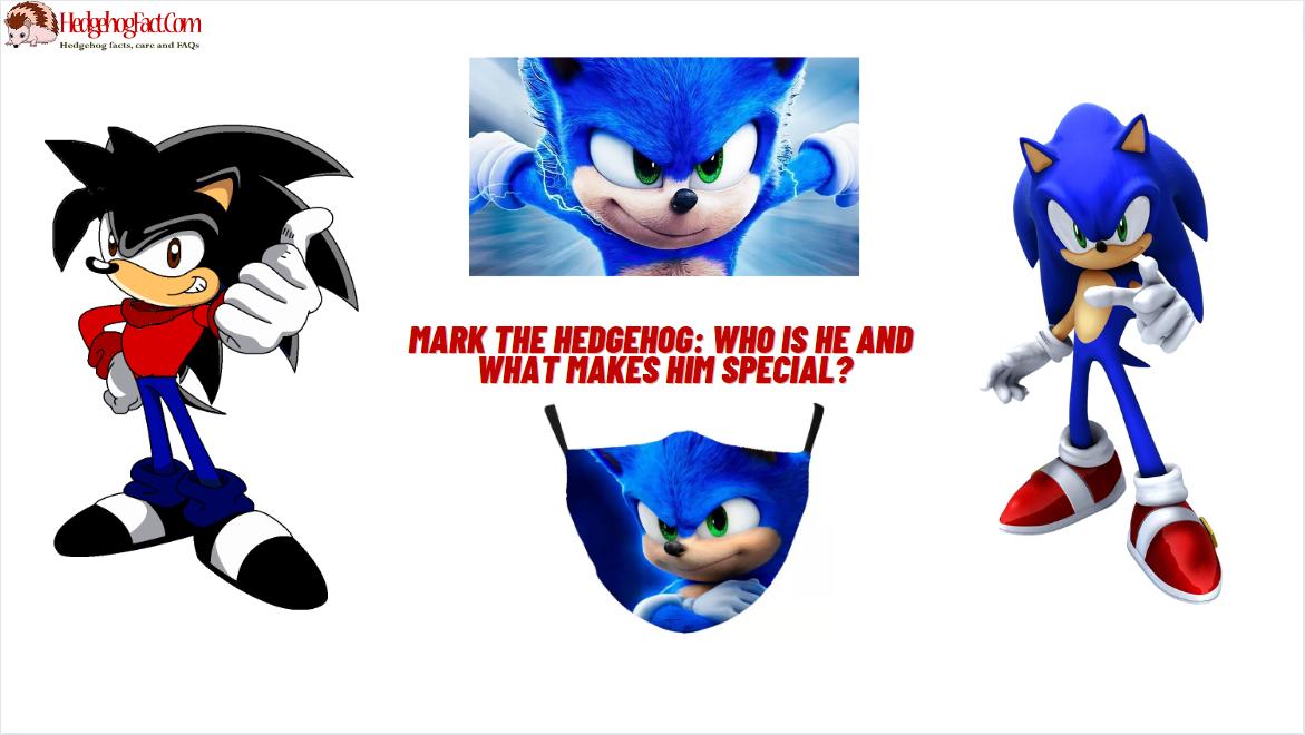 Mark The Hedgehog: Who is he and what makes him special?