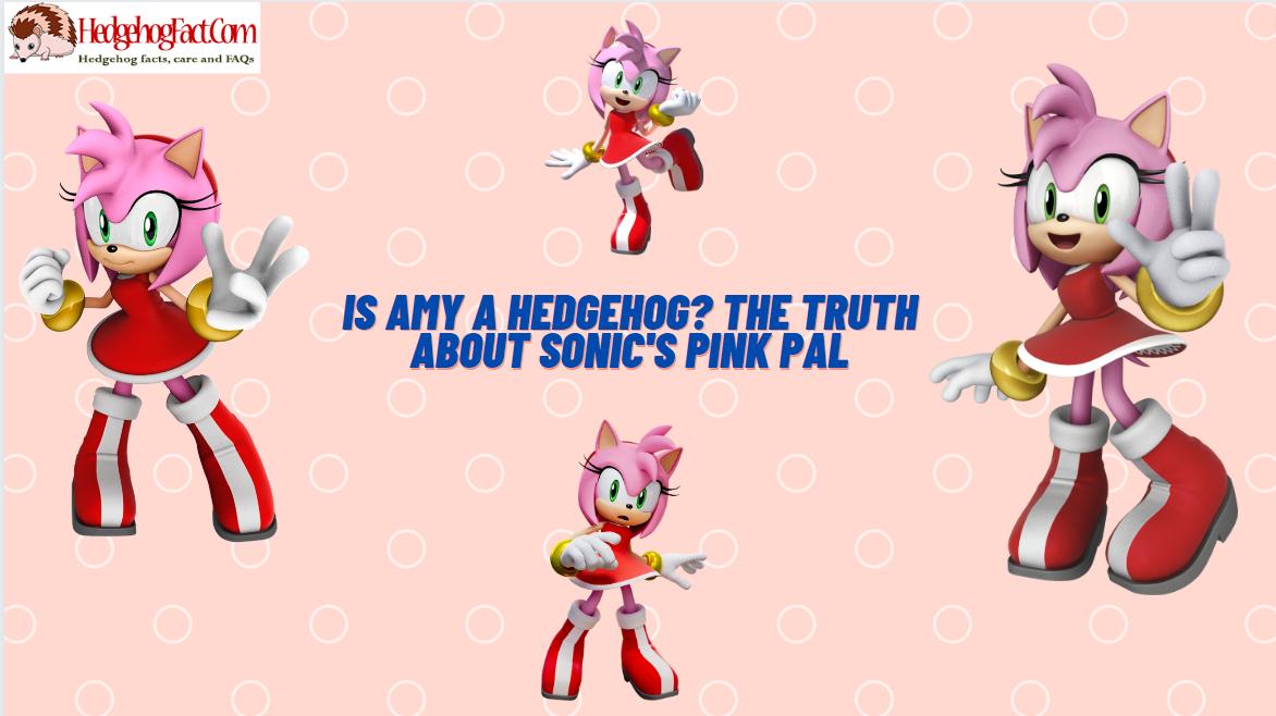 Is Amy A Hedgehog? The Truth About Sonic's Pink Pal