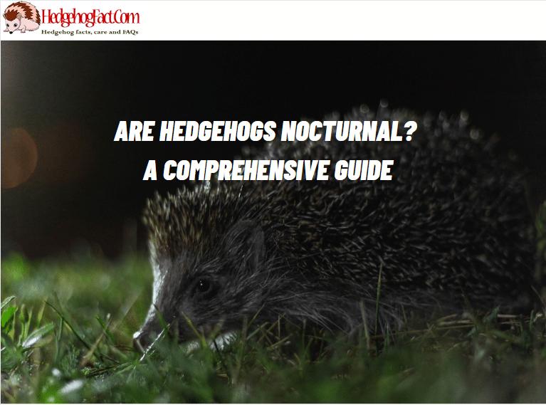Are Hedgehogs Nocturnal? A Comprehensive Guide