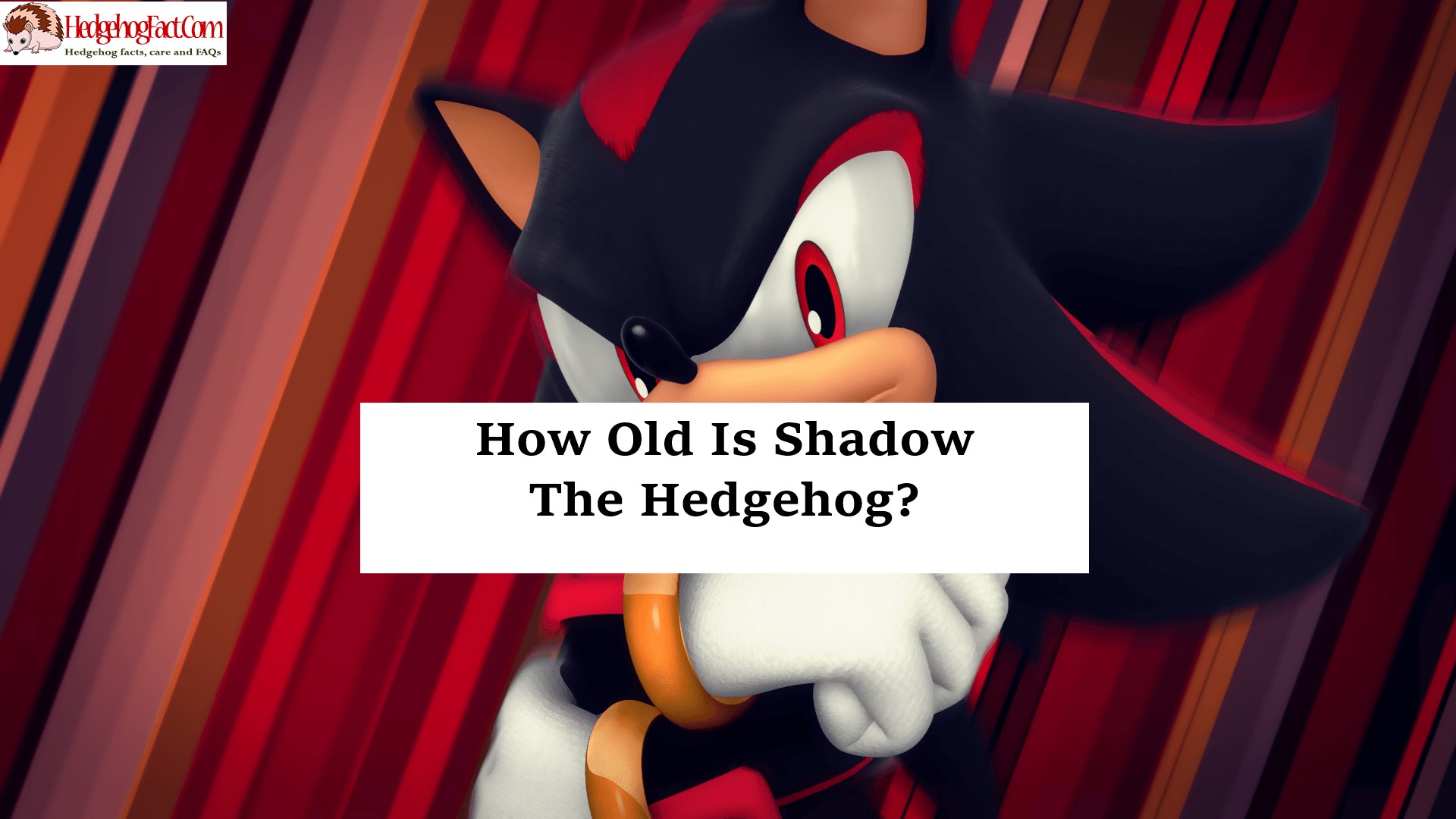 How Old Is Shadow The Hedgehog?