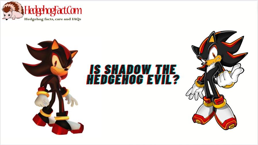 Is Shadow The Hedgehog Evil?