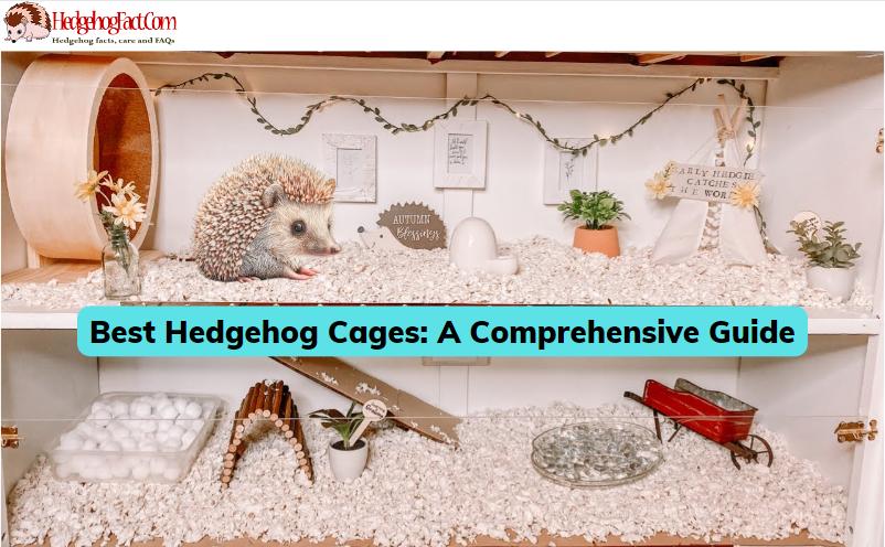 Best Hedgehog Cages: A Comprehensive Guide