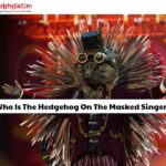 Who Is The Hedgehog On The Masked Singer?