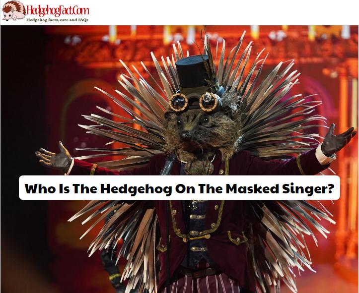 Who Is The Hedgehog On The Masked Singer?