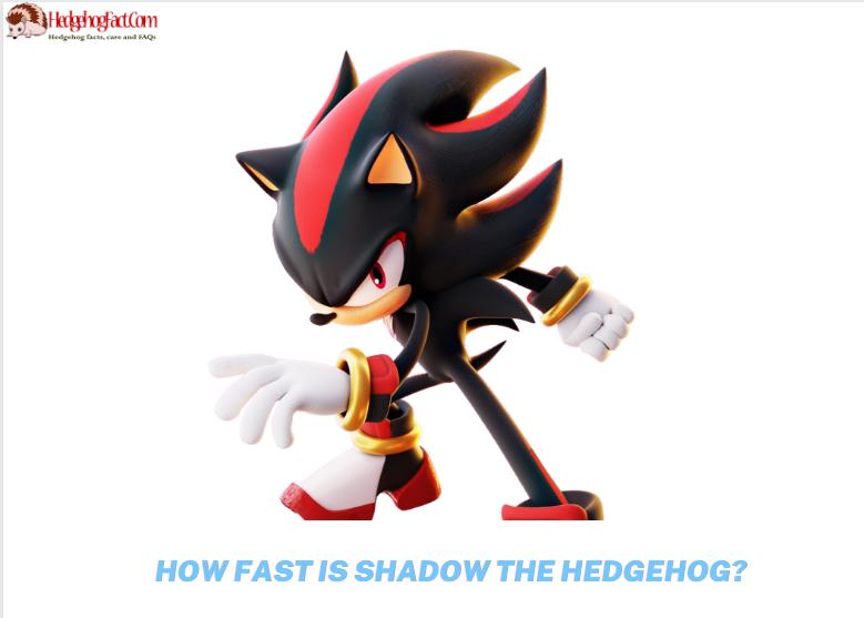 How Fast Is Shadow The Hedgehog?