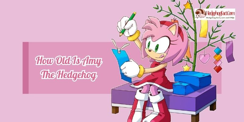 How Old Is Amy The Hedgehog
