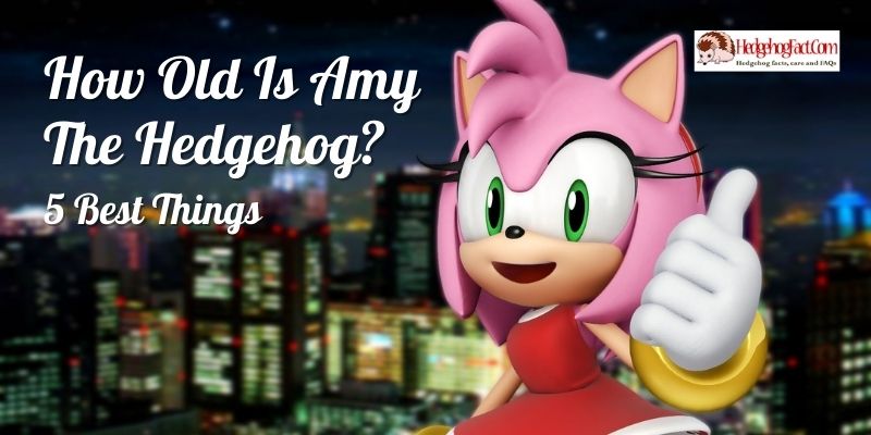 How Old Is Amy The Hedgehog